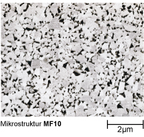 Microestrutura de MF10
