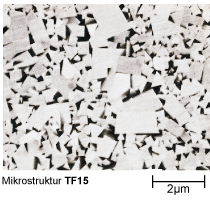 Microestrutura de TF15