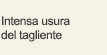 Intensa usura del tagliente