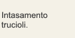 Intasamento trucioli.