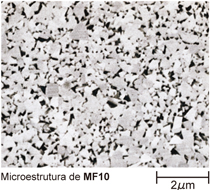 Microestrutura de MF10