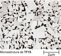 Microestrutura de TF15