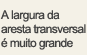A largura da aresta transversal é muito grande