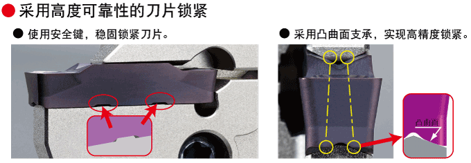 ���زۼӹ��������Ե��µ�Ƭ